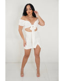 Picnic Date Mini Dress